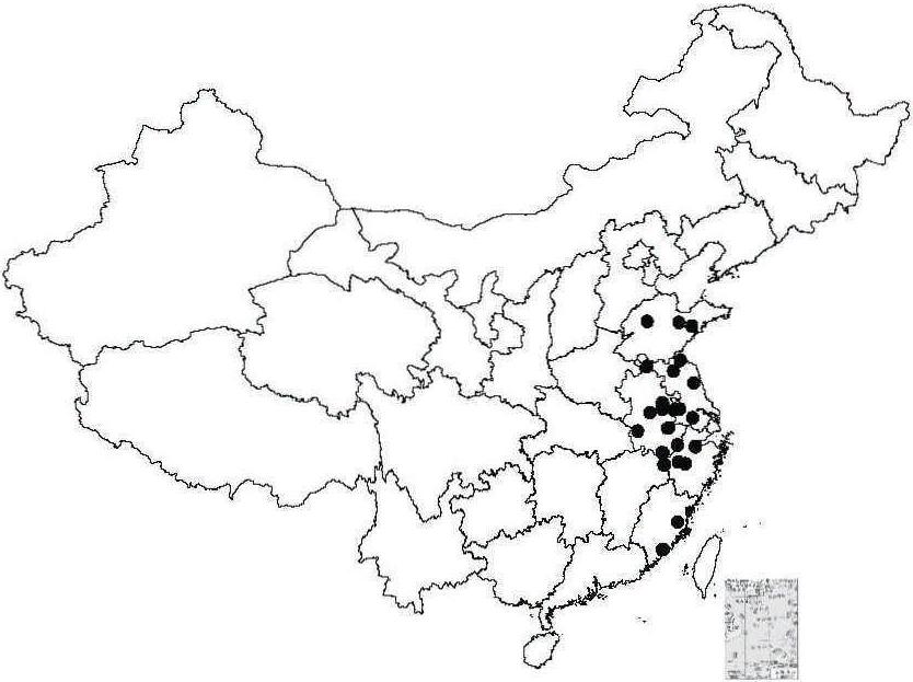 第二節(jié) 中國(guó)結(jié)縷草屬植物地下部分分布和形態(tài)類型多樣性研究